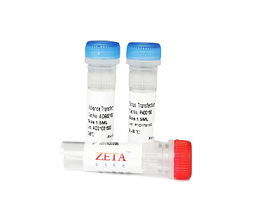 Sirius DNA Transfection Reagent P400025、 P400150